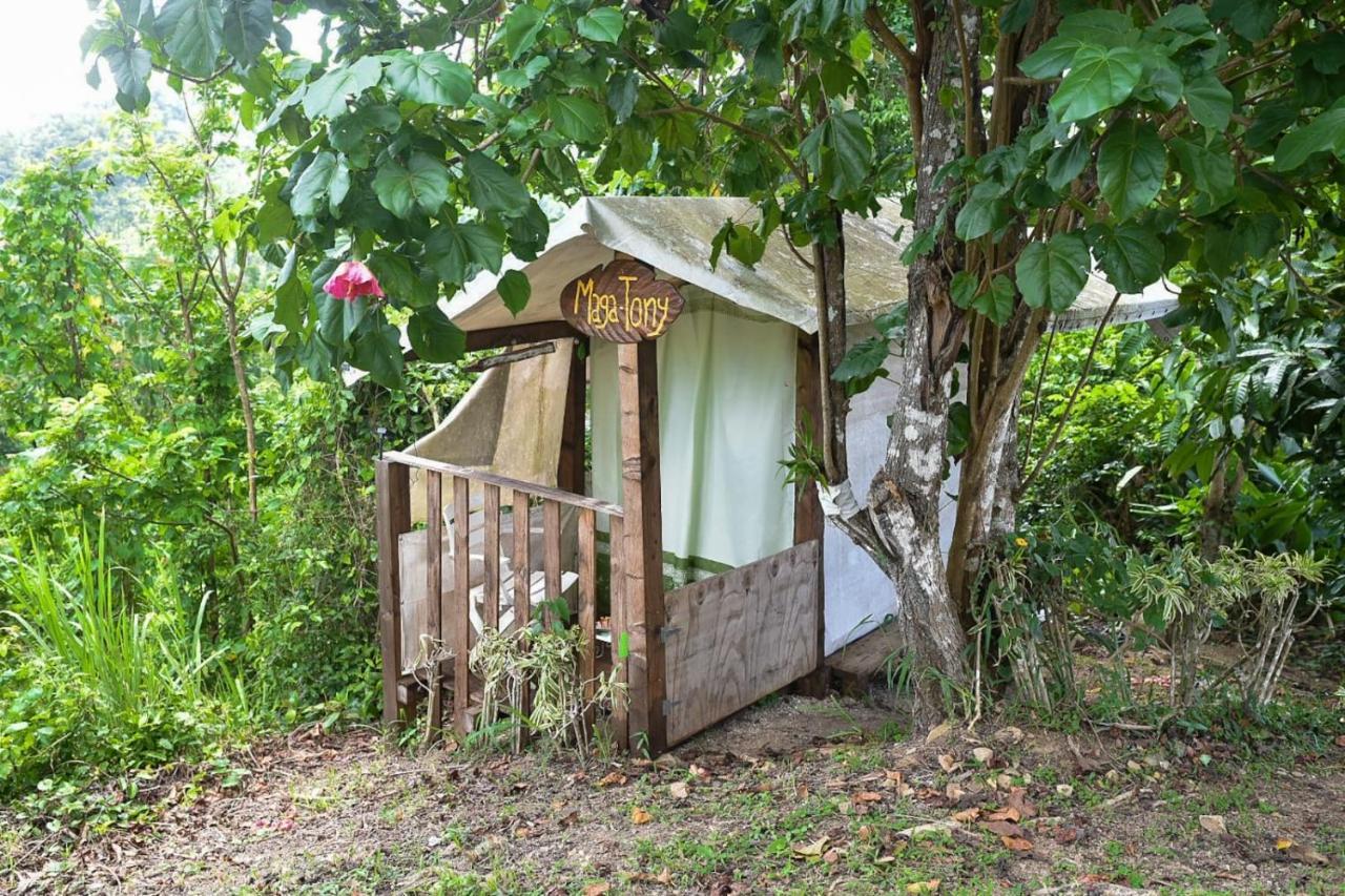 Camping Para Dos - A Escoger Segun Disponibilidad De Caseta O Cabana カグアス エクステリア 写真
